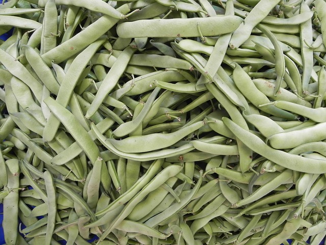 zelené fazolové lusky